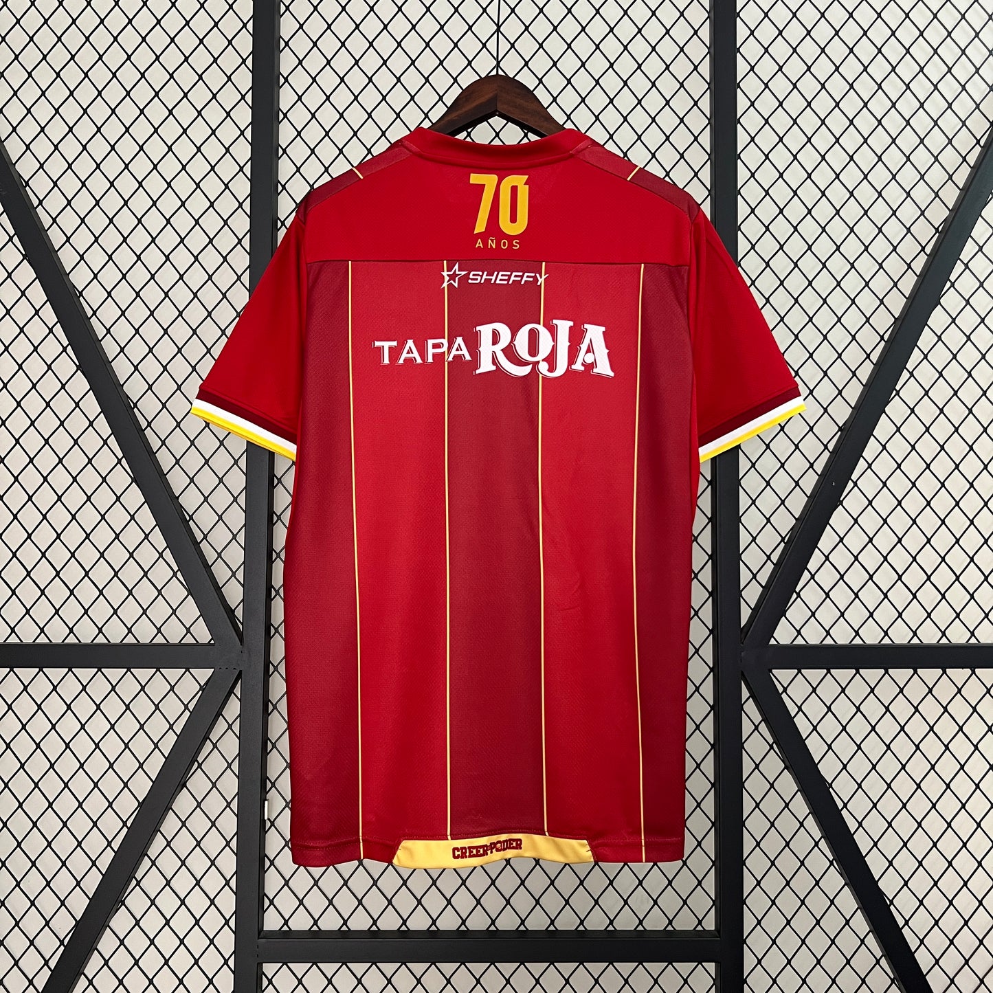24/25 Tolima Home
