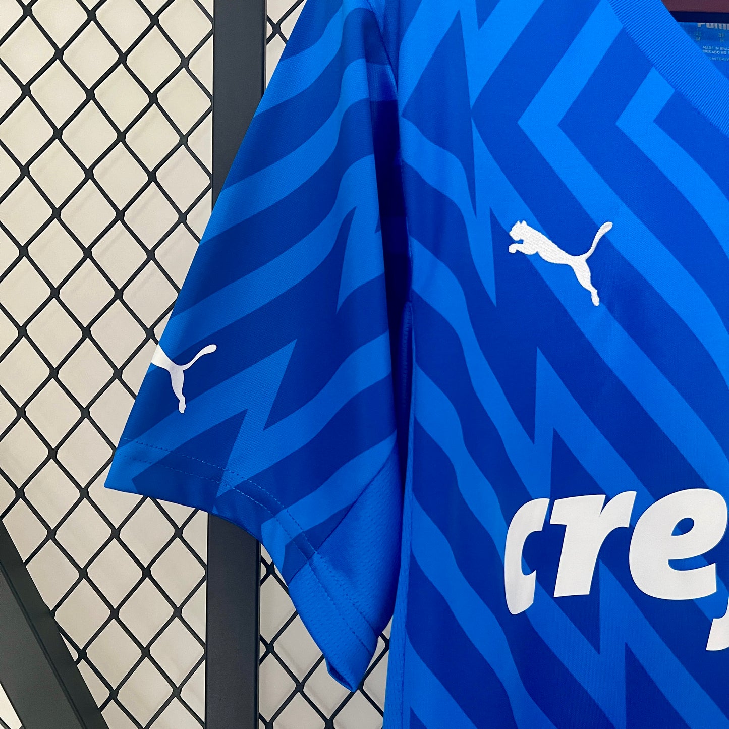 24/25 Goalkeeper Palmeiras Blue