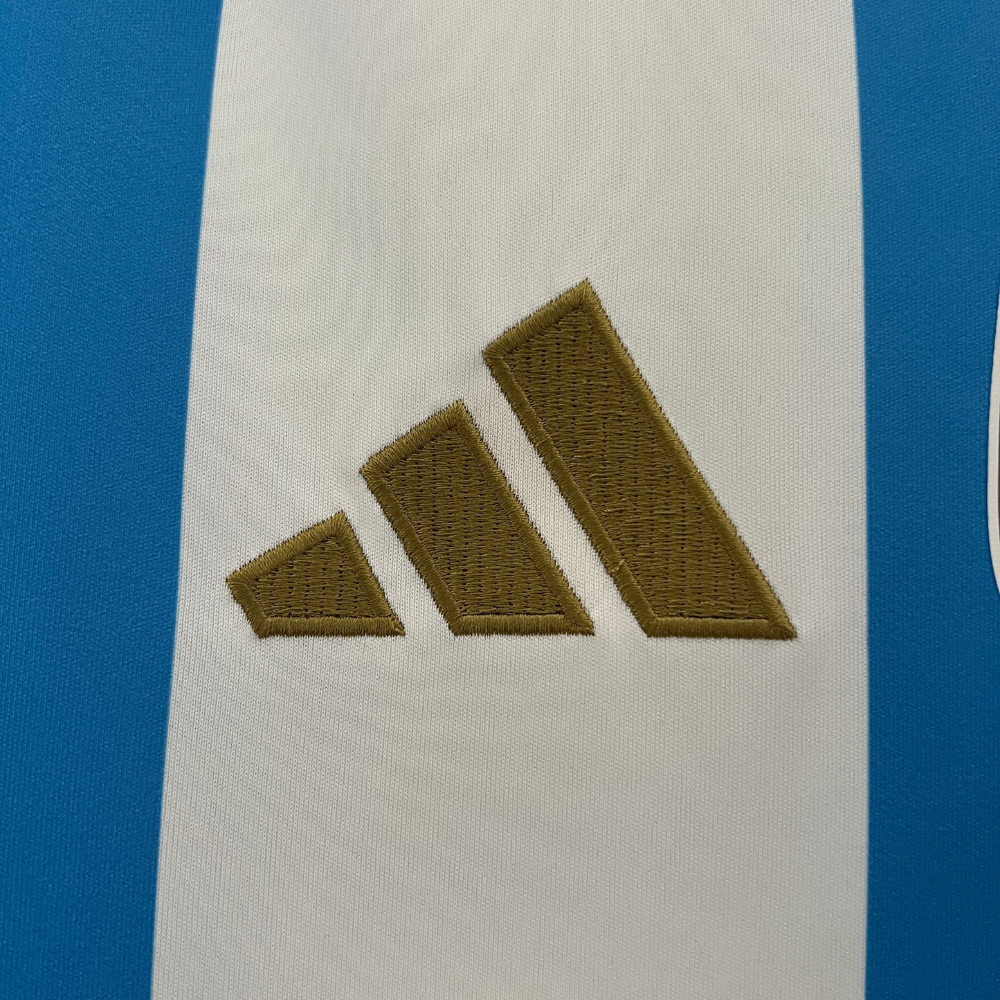 Argentina 2024 Home Jersey