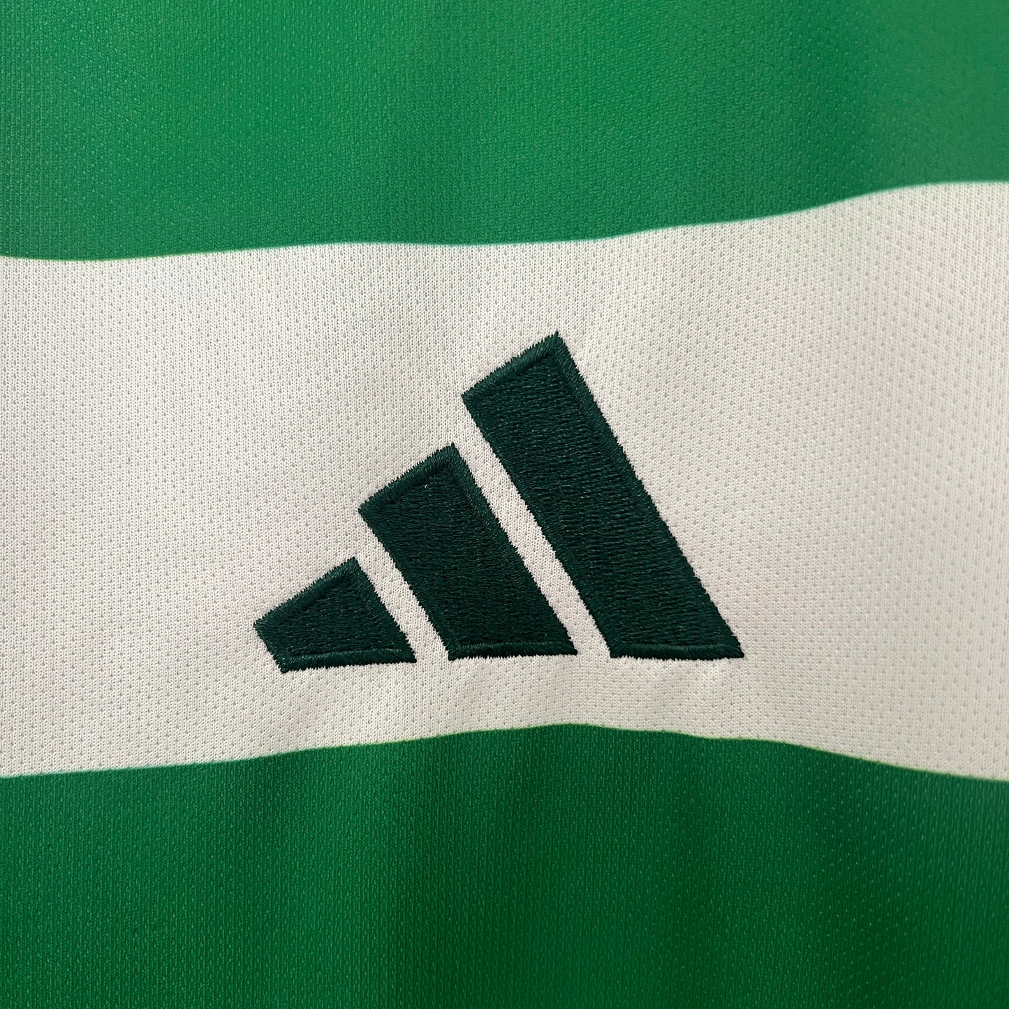24/25 Celtics Home