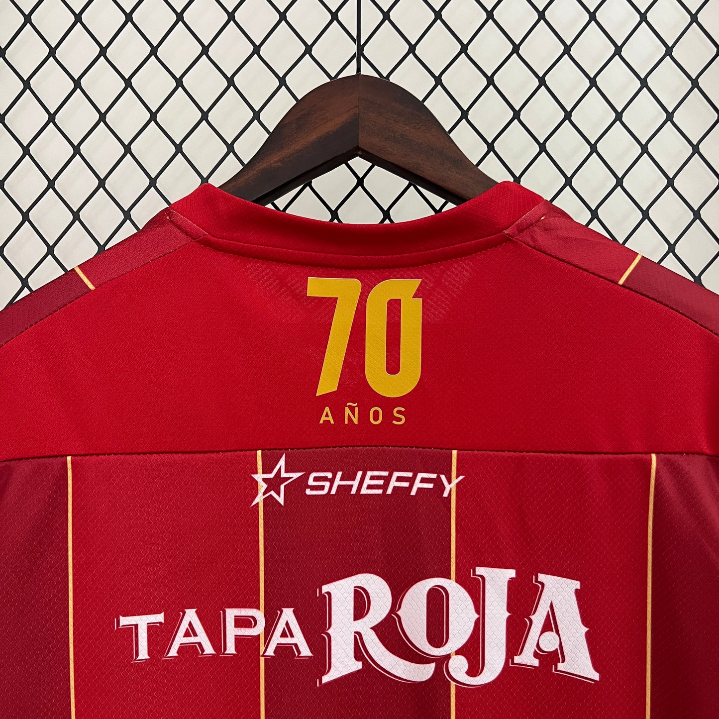 24/25 Tolima Home