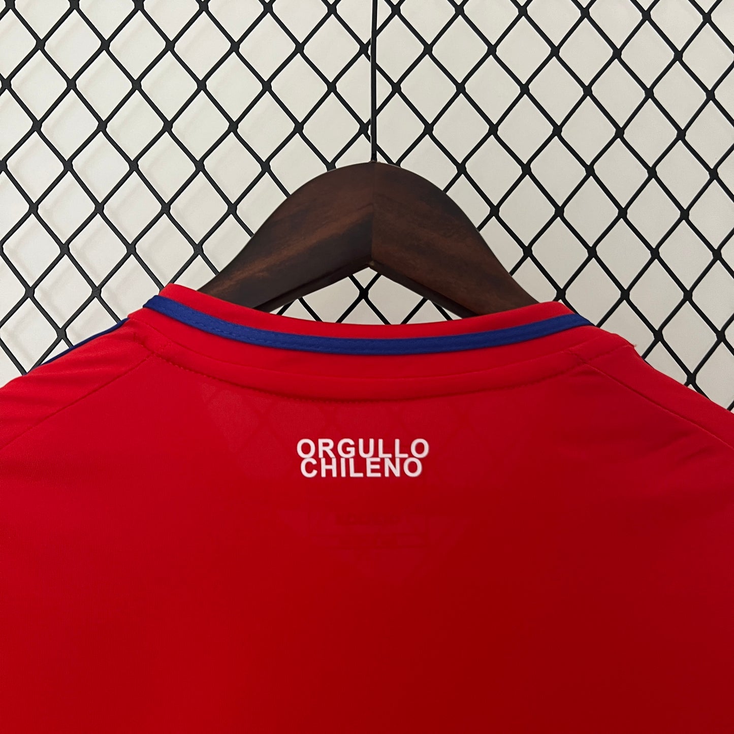 2024 Chile Home