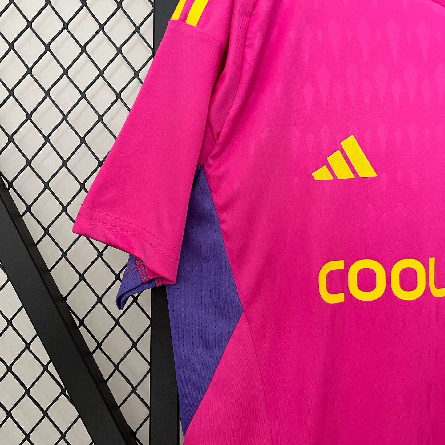 24/25 Goalkeeper Colo Colo pink