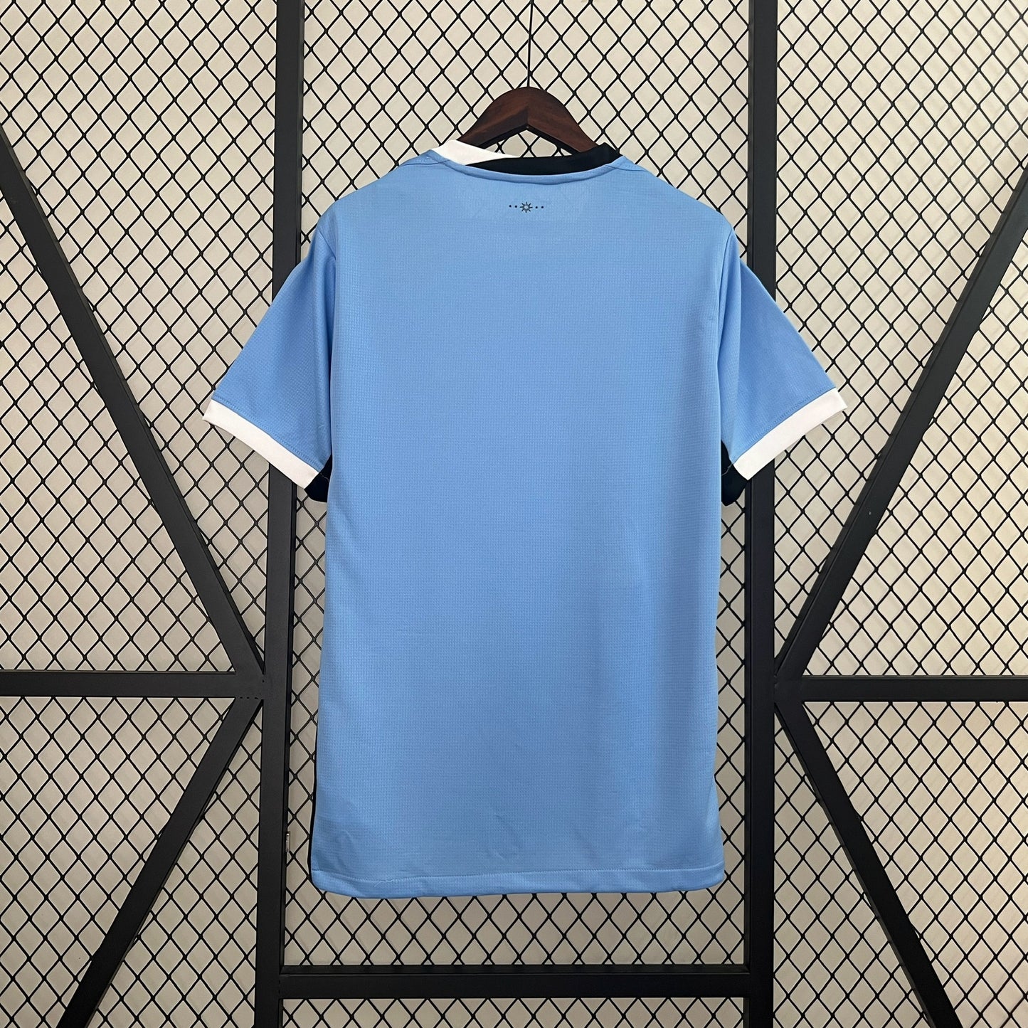 2024 Uruguay Home