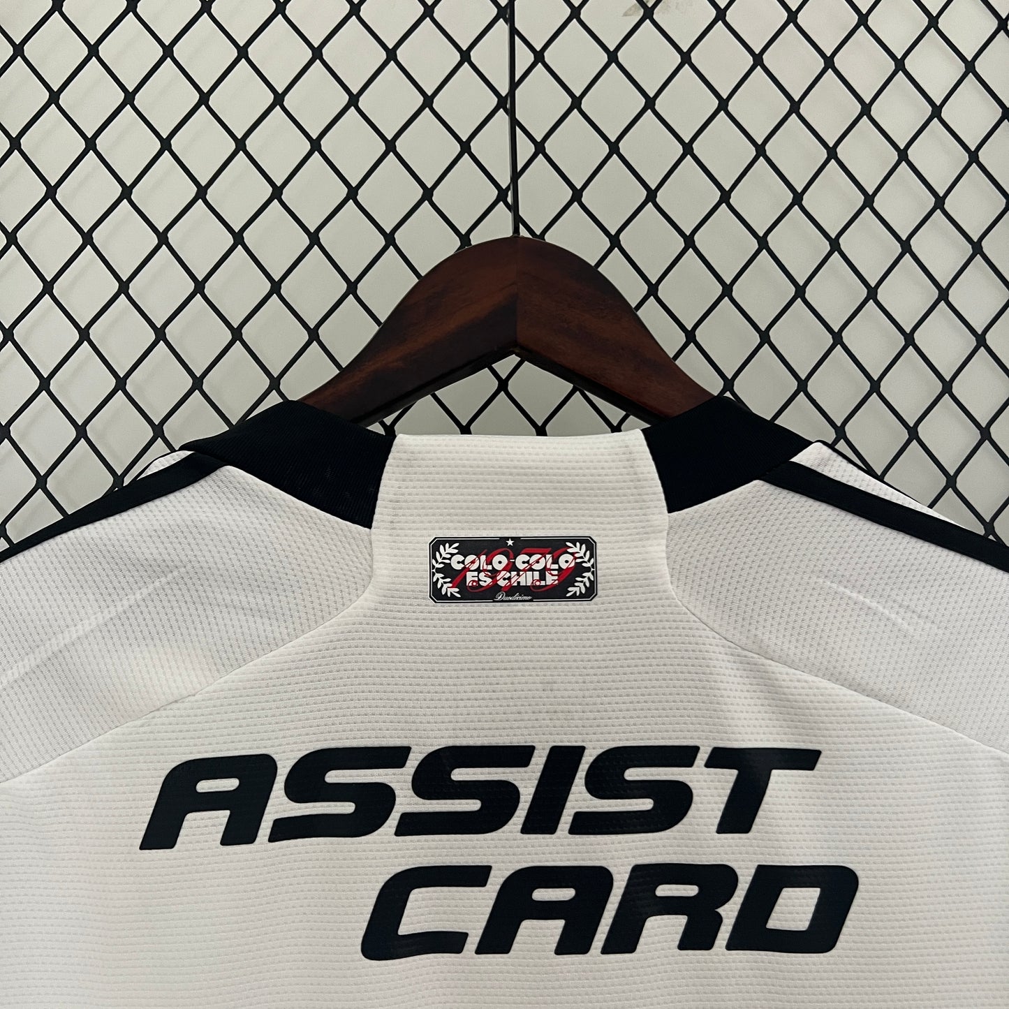 24/25 Colo Colo Home