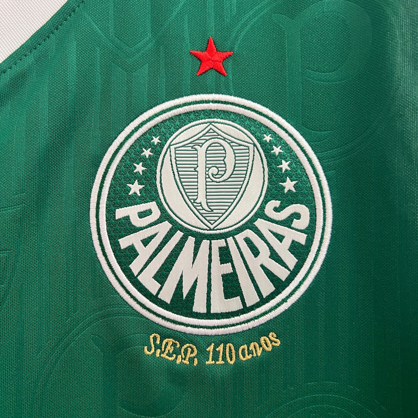 24/25 Vest Palmeiras home