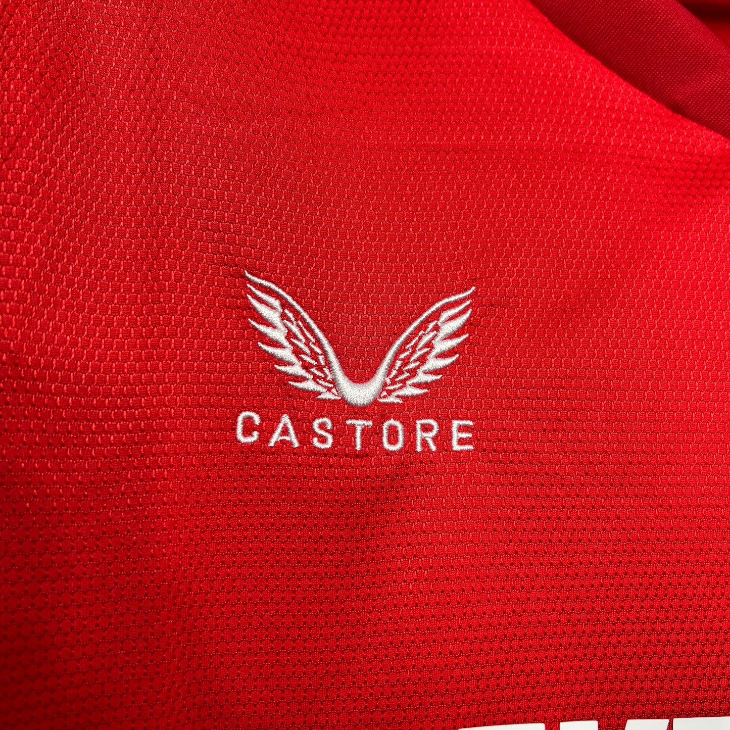 FC Twente 2024/25 Home Jersey