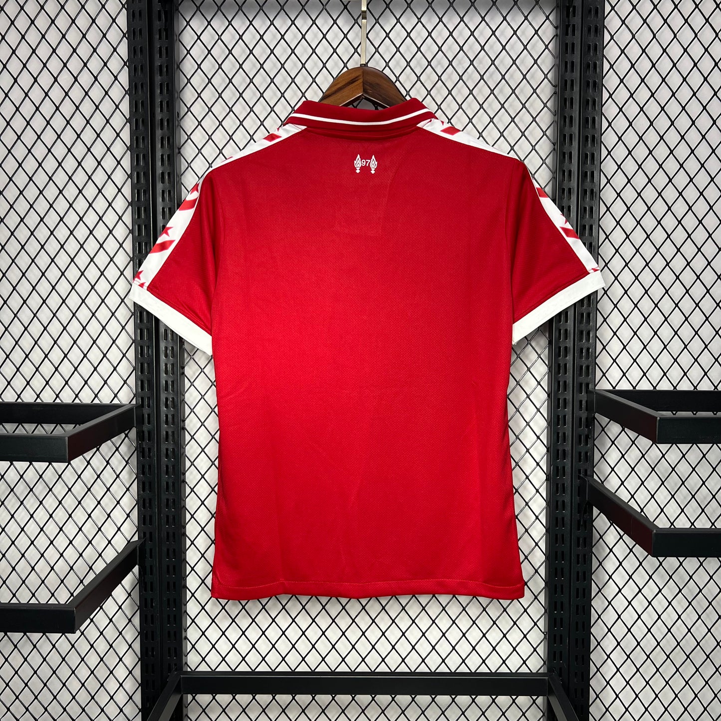 Liverpool 2024/25 special edition Jersey