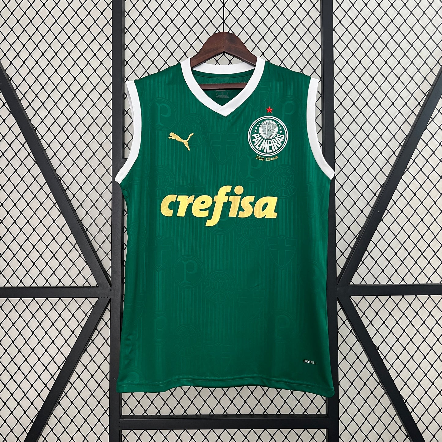 24/25 Vest Palmeiras home