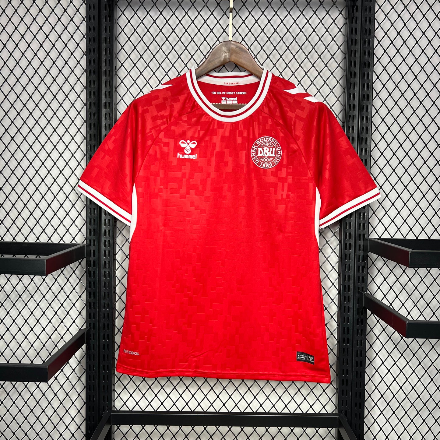 Denmark 2024/25 Euro Home
