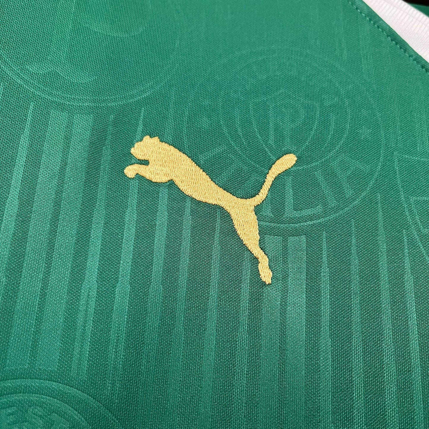 Palmeiras 2024/25 Home Jersey