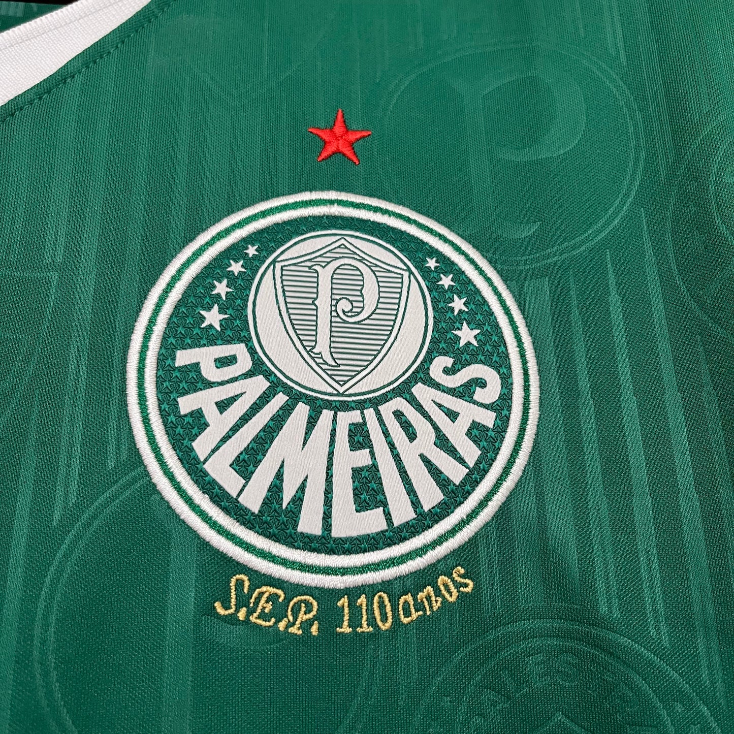 Palmeiras 2024/25 Home Jersey