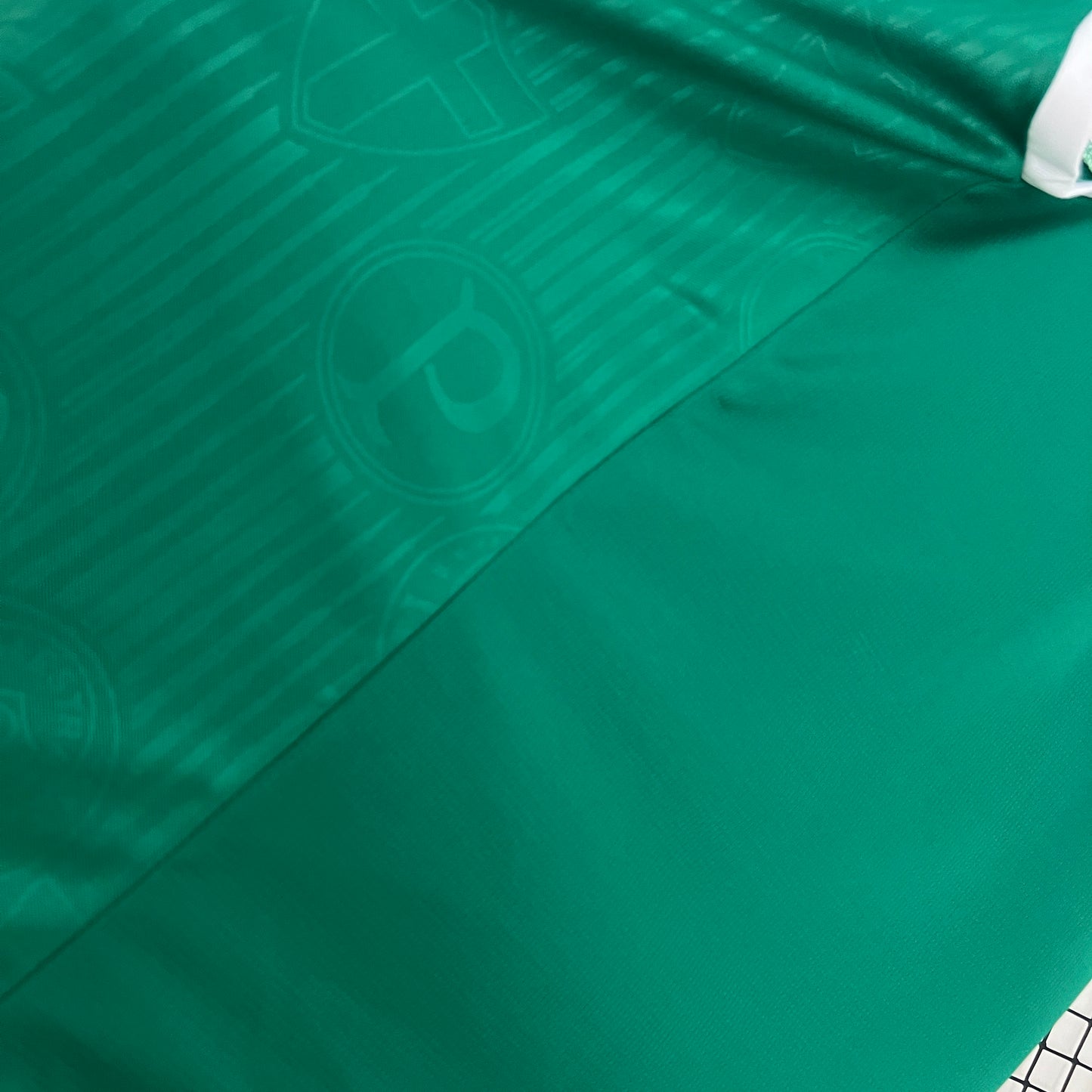 24/25 Vest Palmeiras home