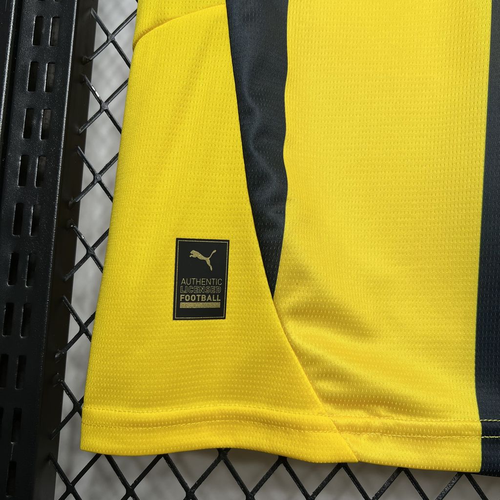 Fenerbahce S.K. 2024/25 Home