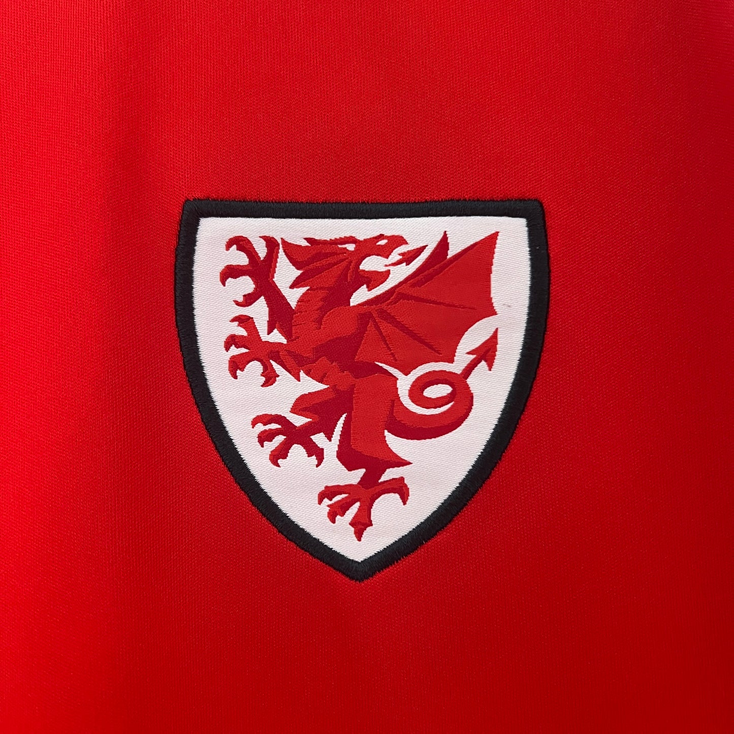 2024 Wales Home
