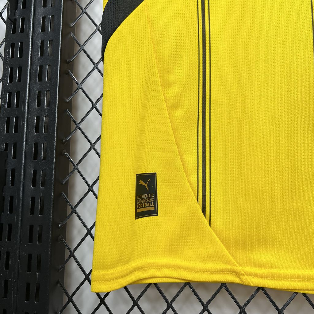 Borussia Dortmund 2024/25 Home