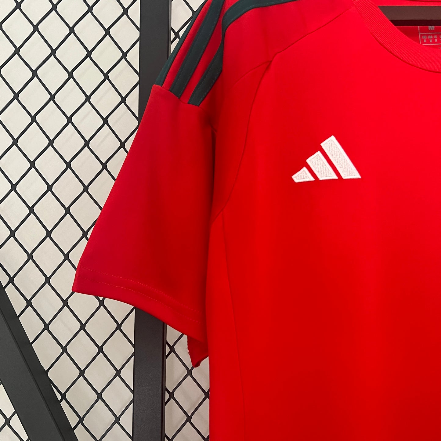 2024 Wales Home
