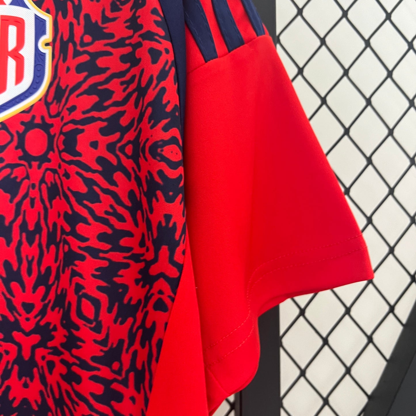 2024 Costa Rica Home