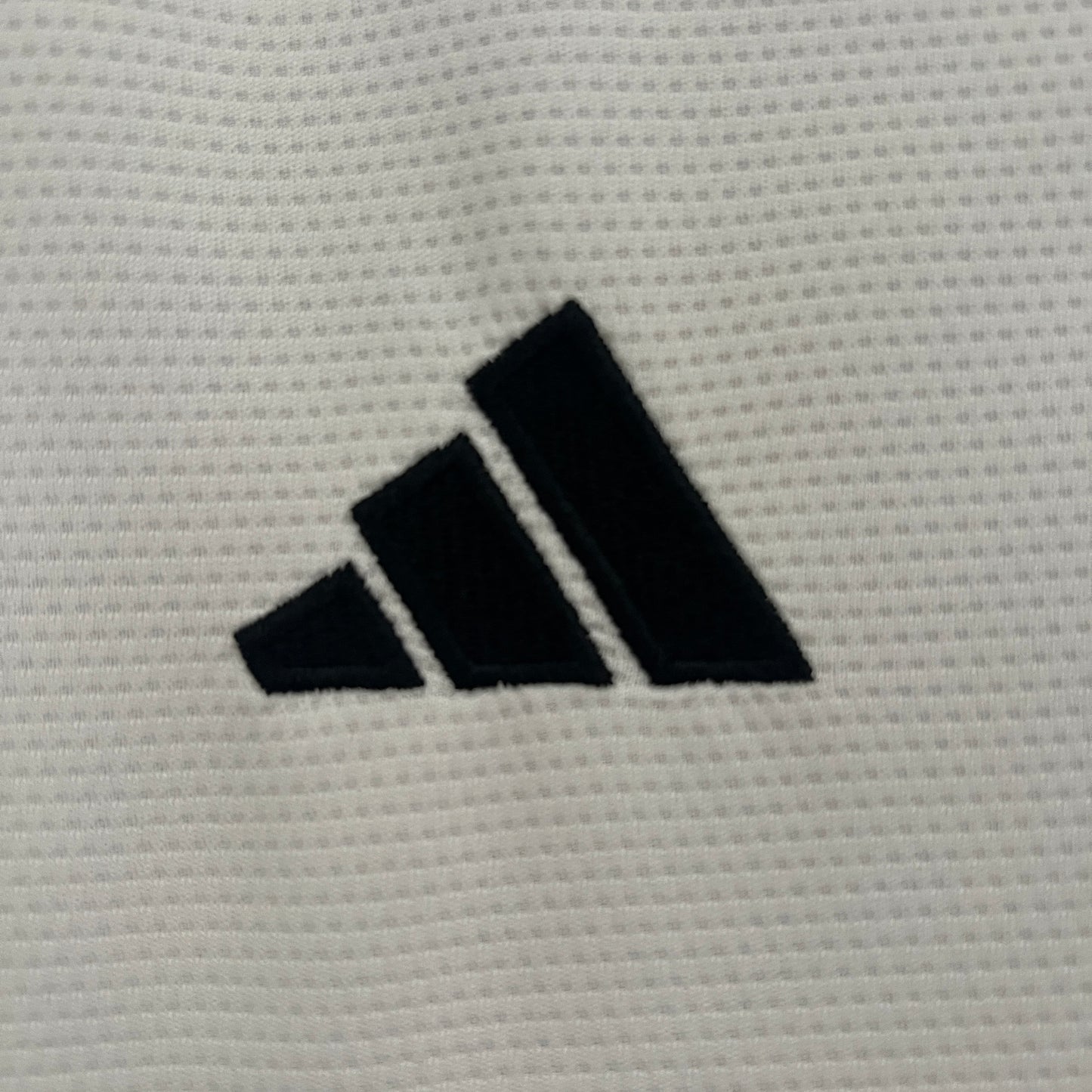 24/25 Colo Colo Home