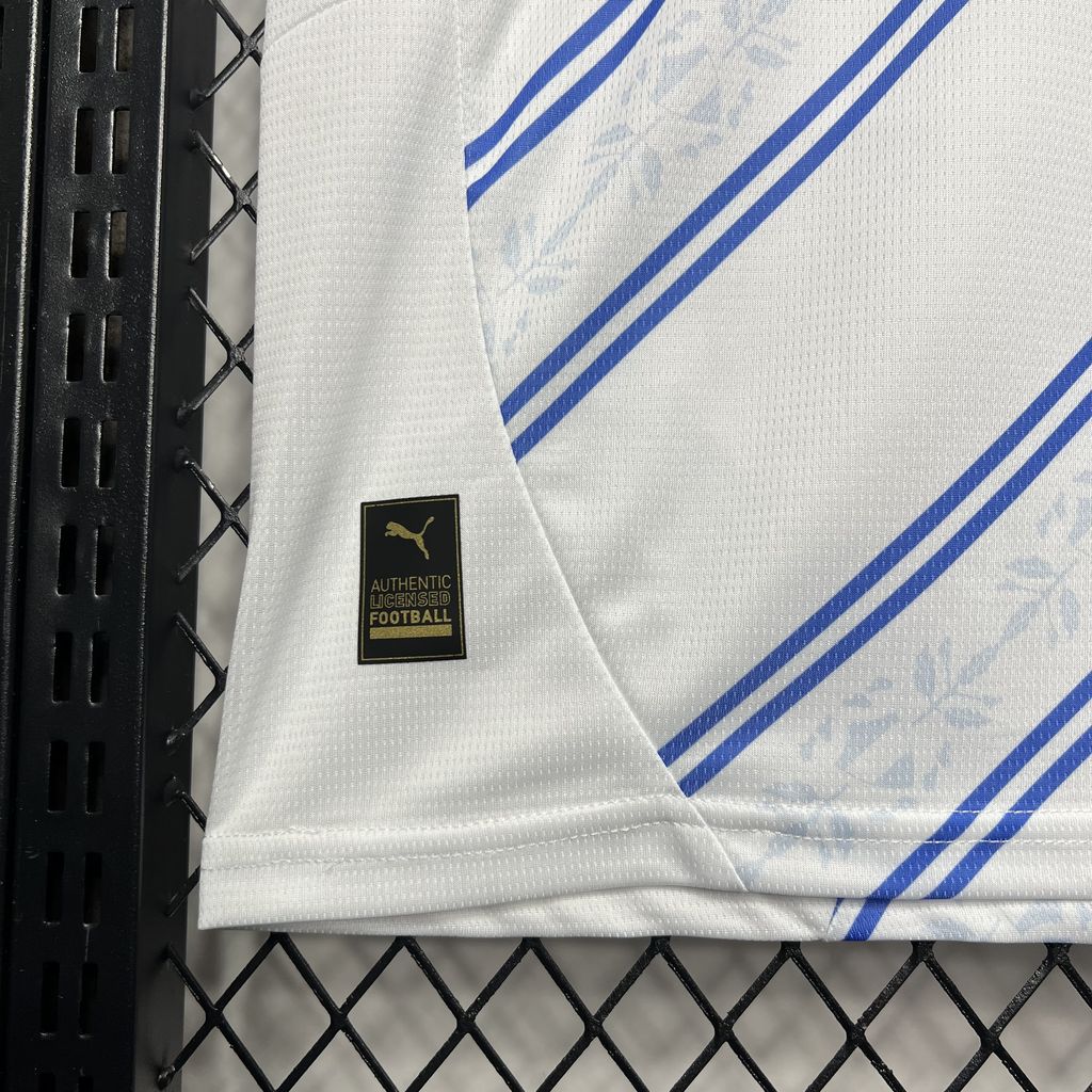 Fenerbahce S.K. 2024/25 Away