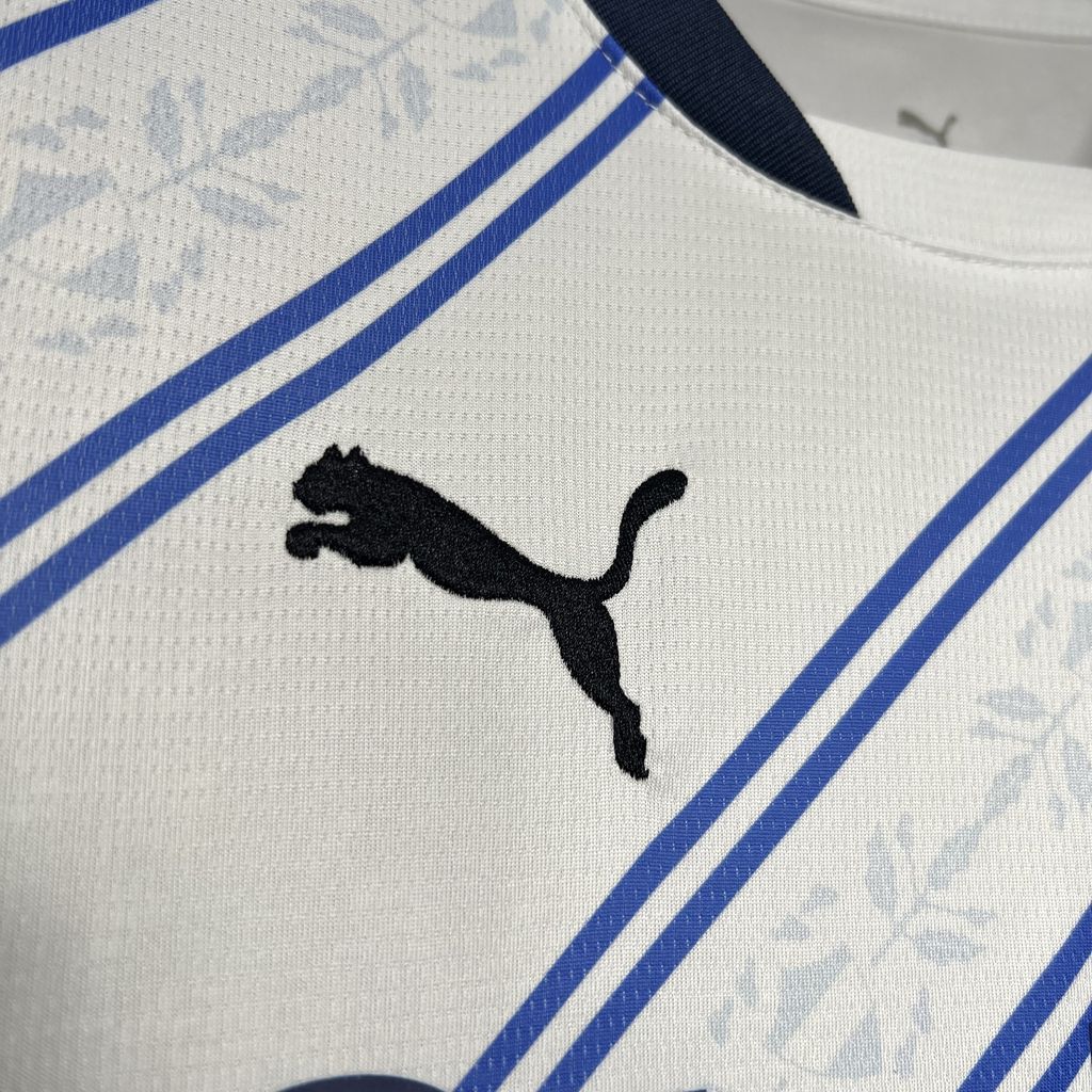 Fenerbahce S.K. 2024/25 Away