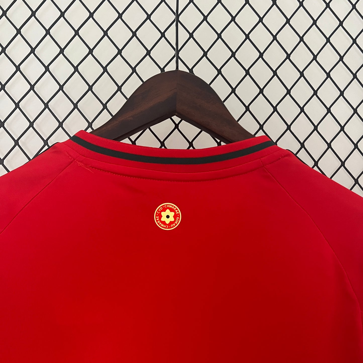 2024 Wales Home