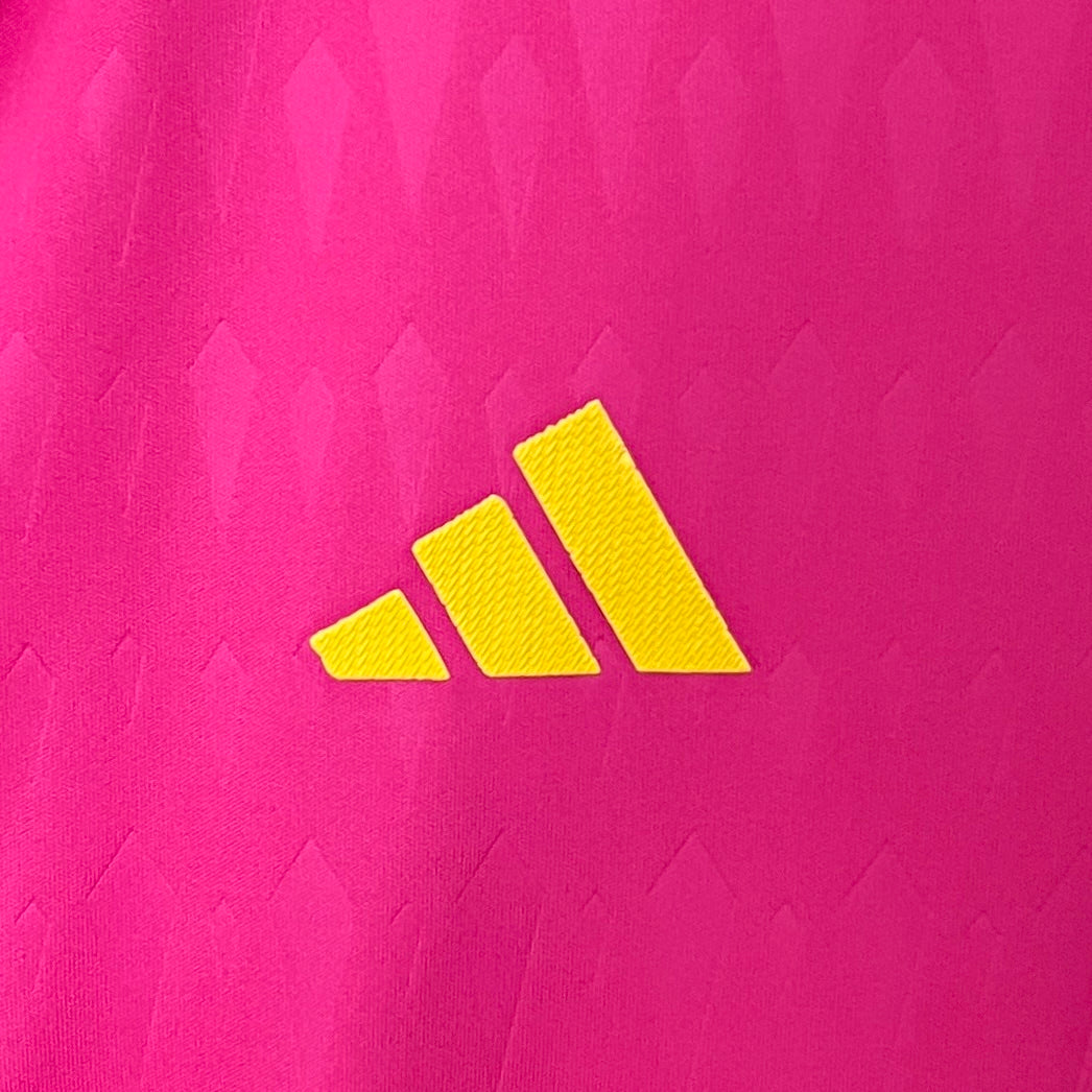 24/25 Goalkeeper Colo Colo pink