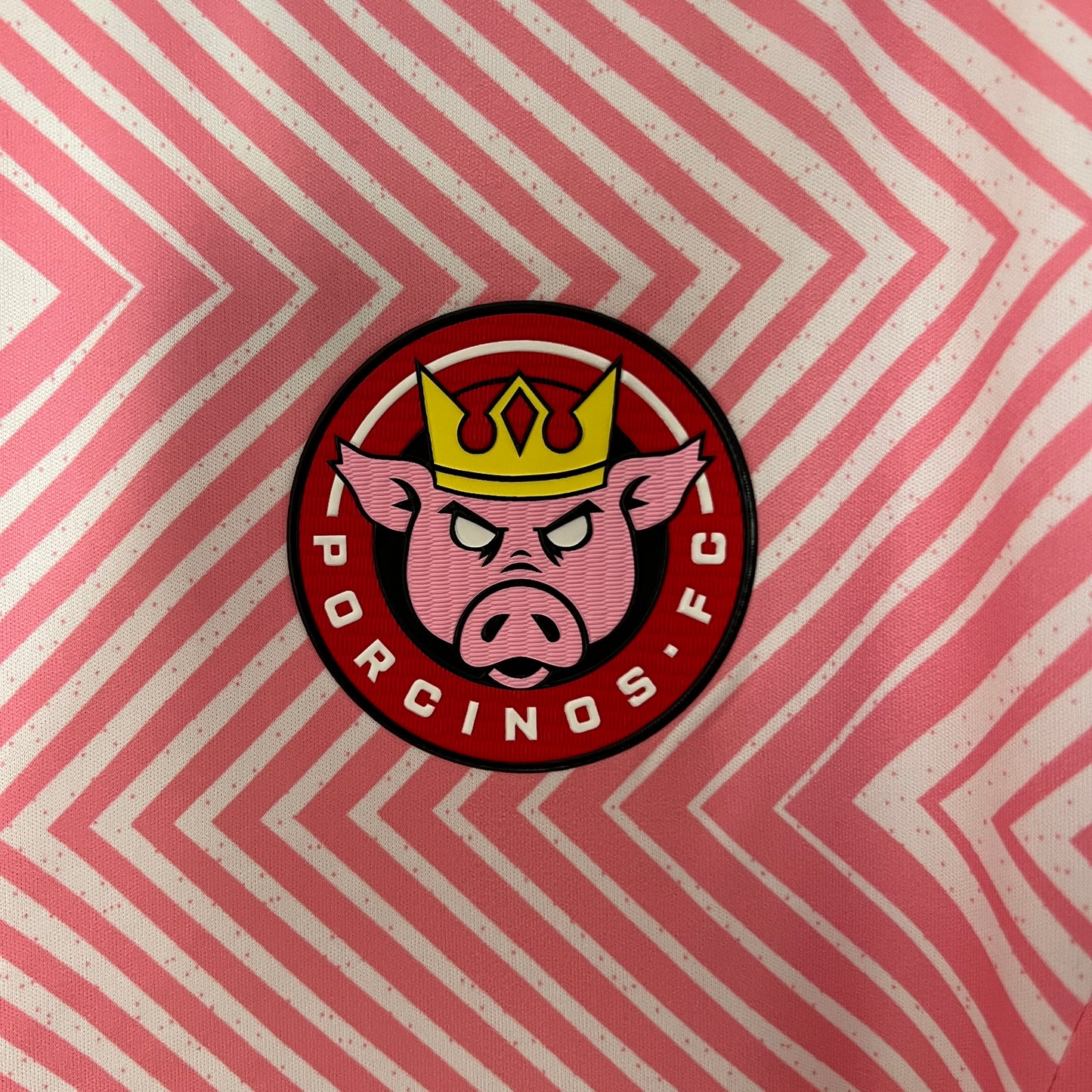 2024 Porcinos FC home