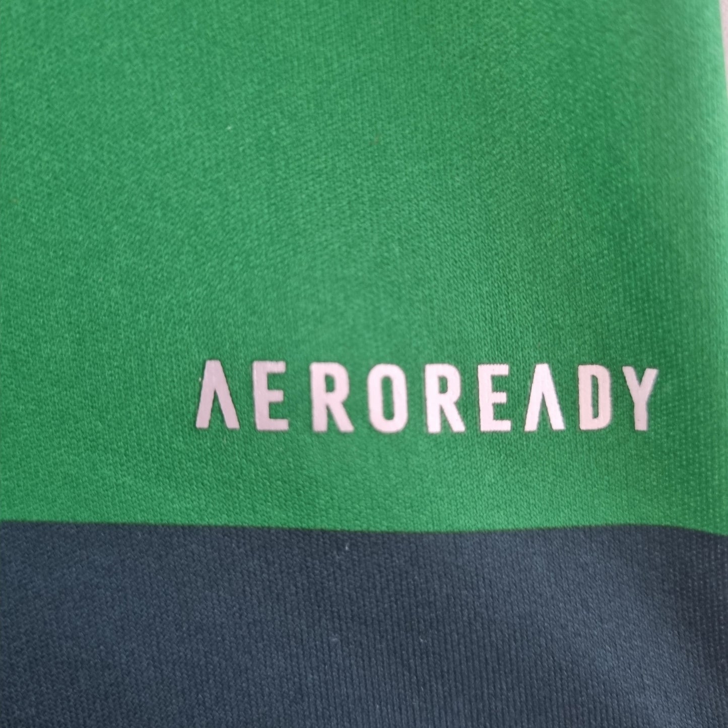 Retro 10/11 Palmeiras home
