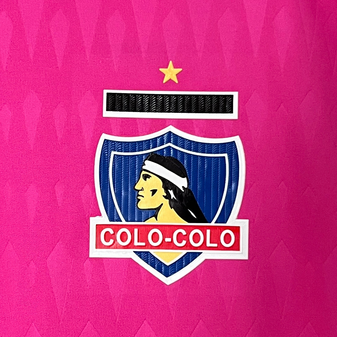 24/25 Goalkeeper Colo Colo pink