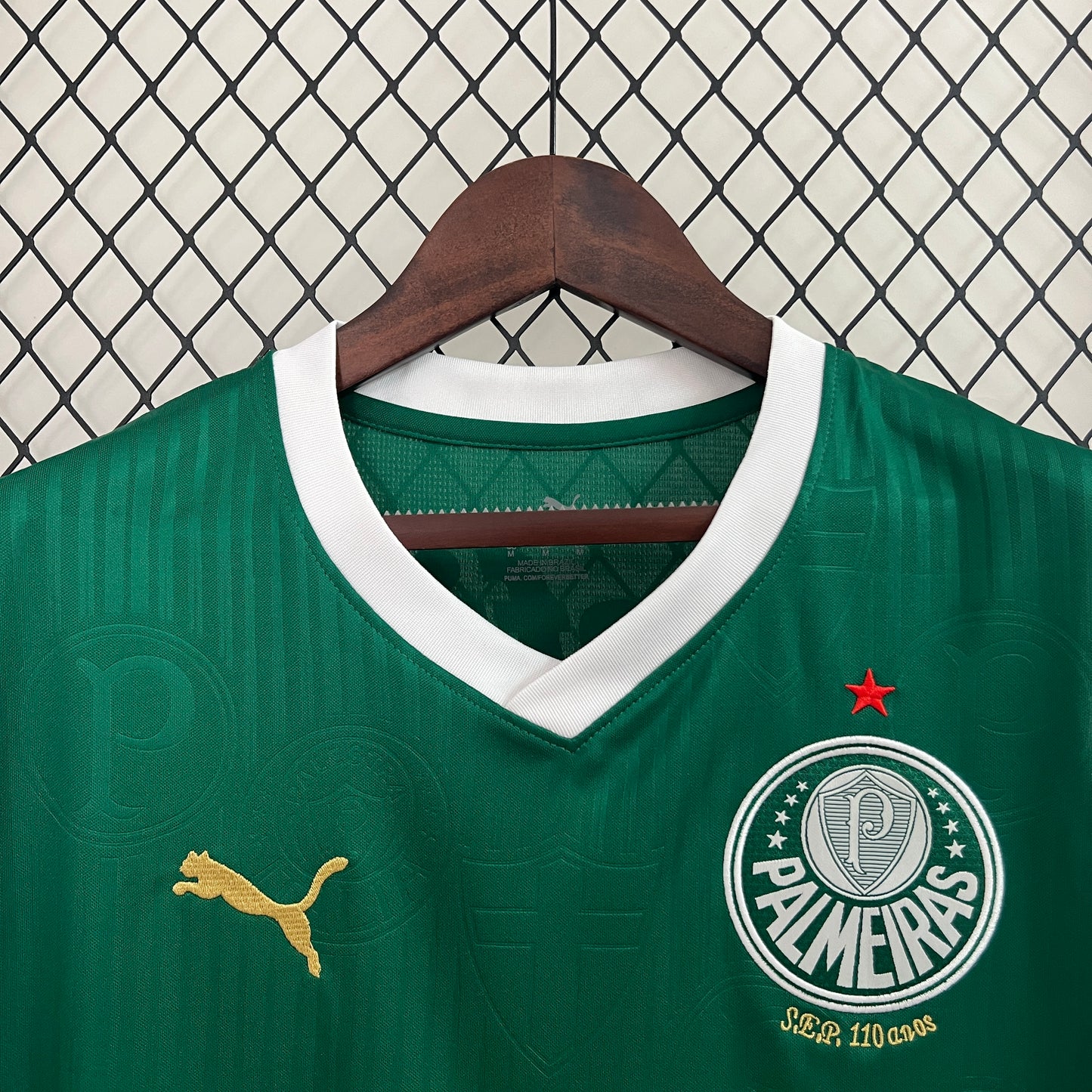 24/25 Vest Palmeiras home