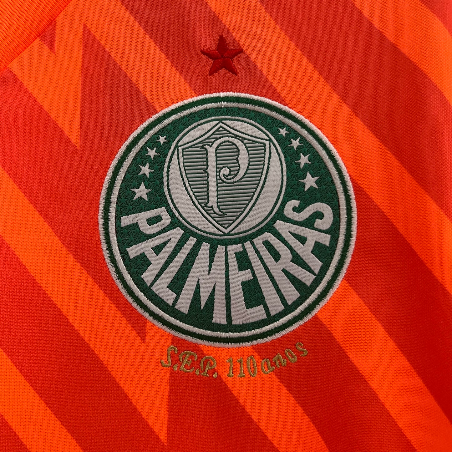 24/25 Palmeiras Goalkeeper