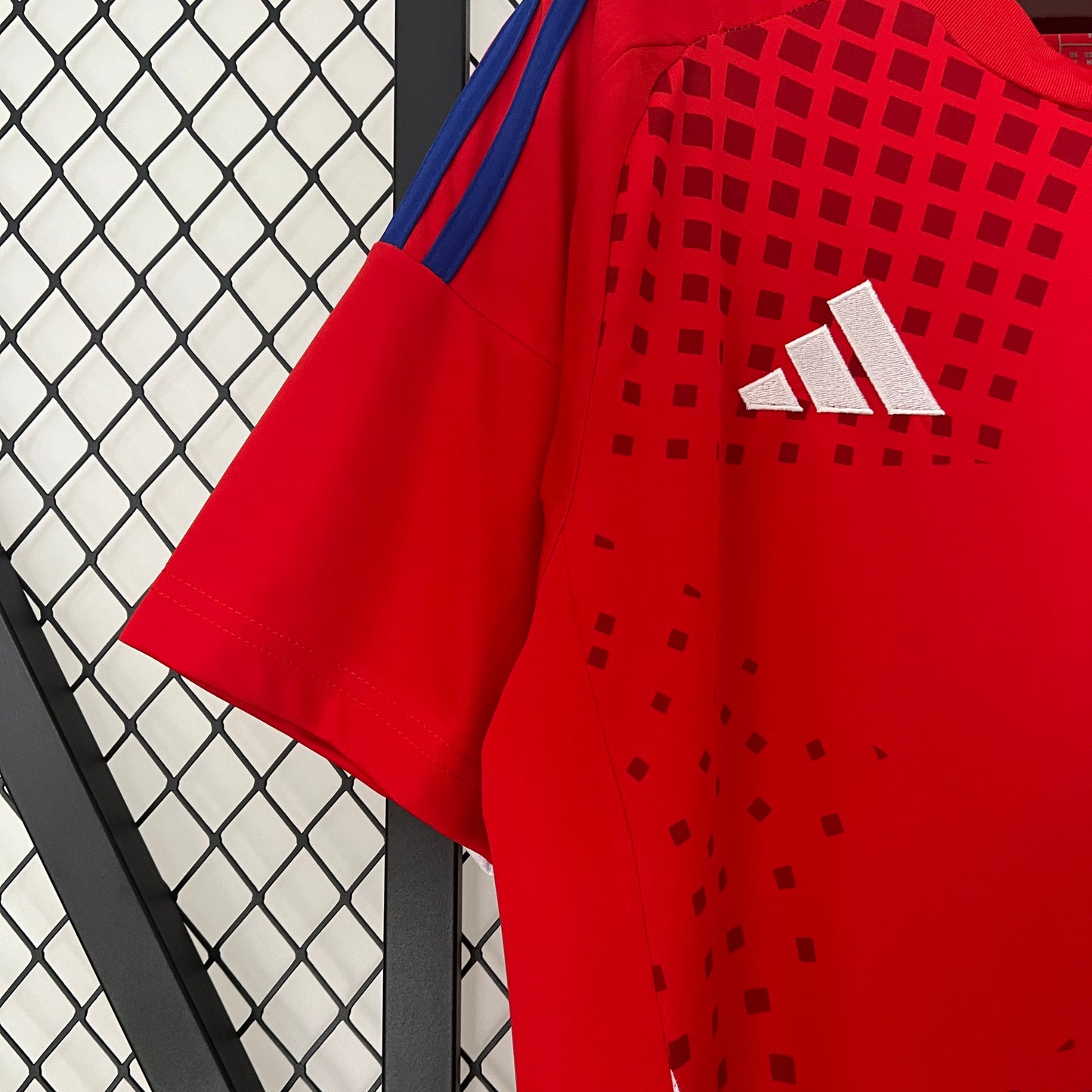 2024 Chile Home