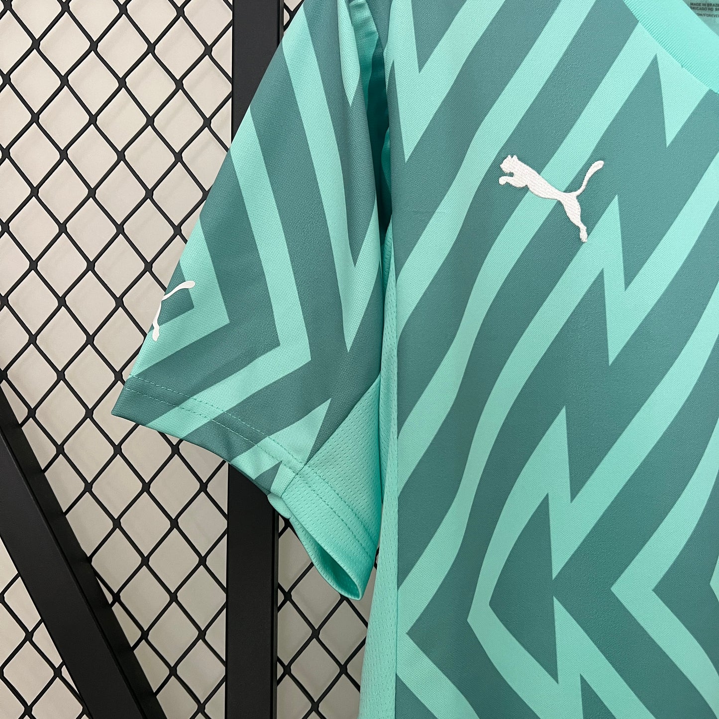 24/25 Palmeiras Goalkeeper