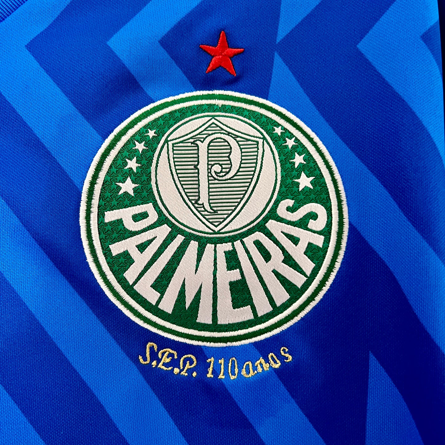 24/25 Goalkeeper Palmeiras Blue