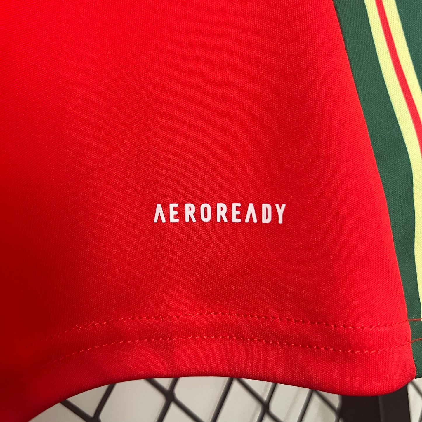 2024 Wales Home