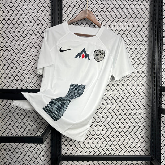 Slovenia 2024/25 Euro Away