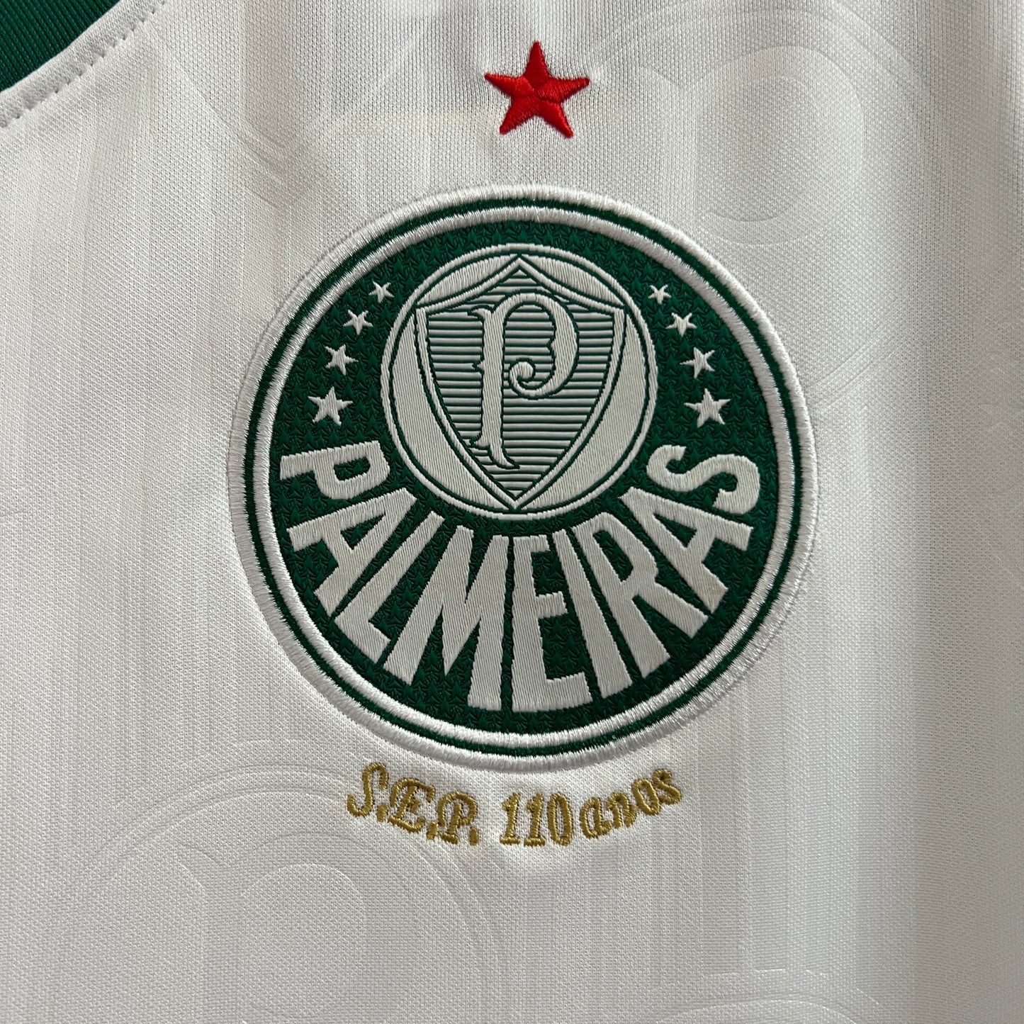 24/25 Vest Palmeiras away