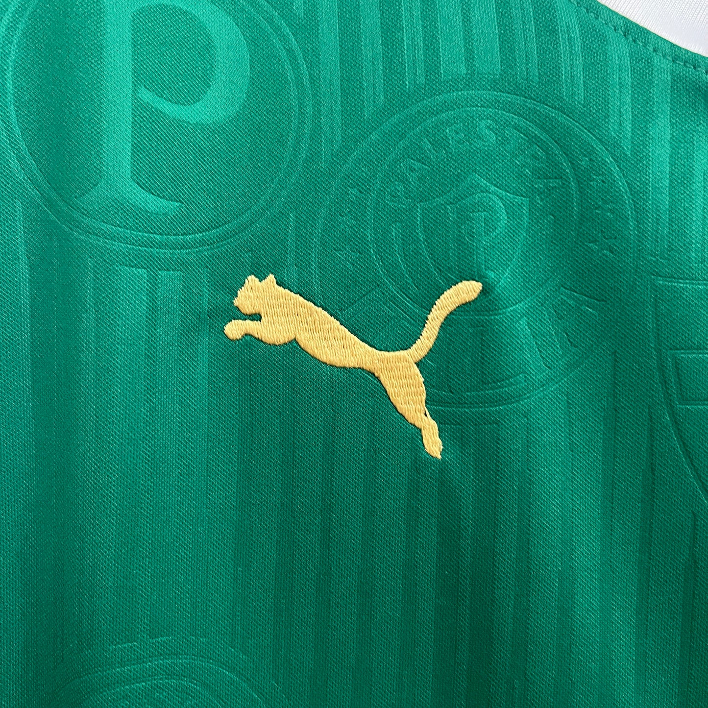 24/25 Vest Palmeiras home