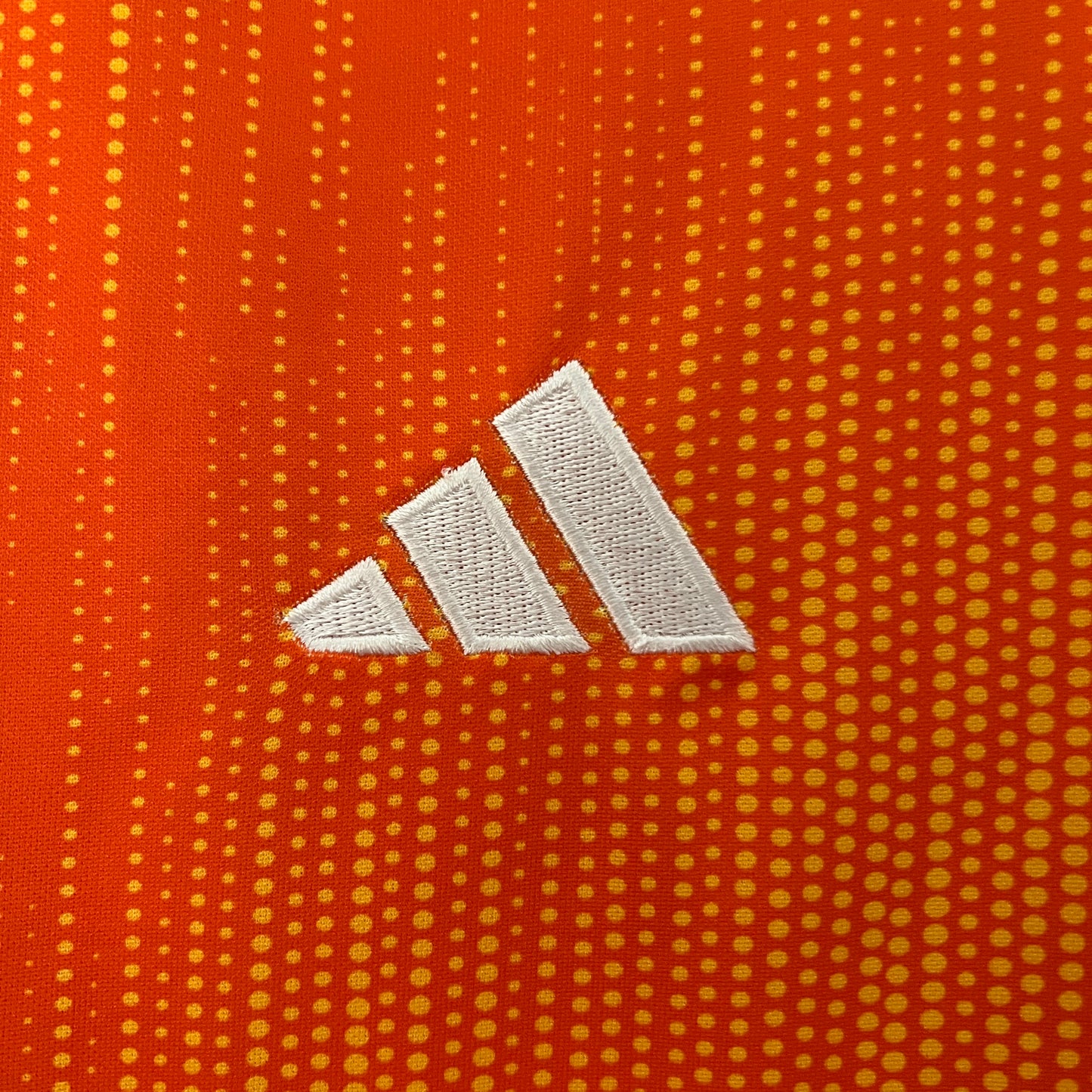 2024 Saiyans FC home