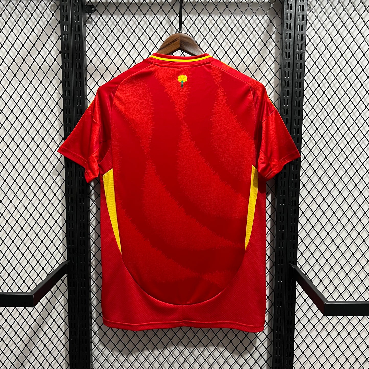 Spain 2024/25 Euro Home