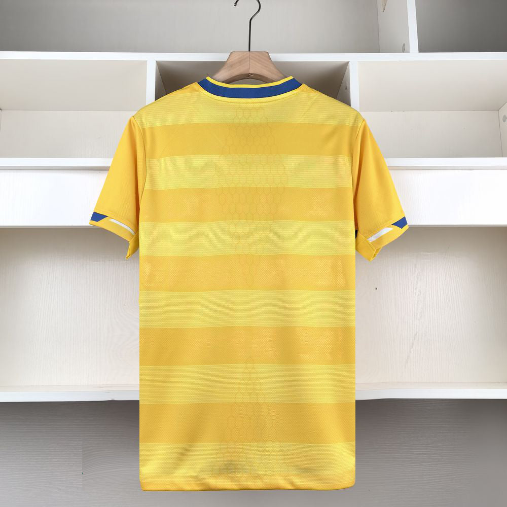 Brighton & Hove Albion 2024-25 Away