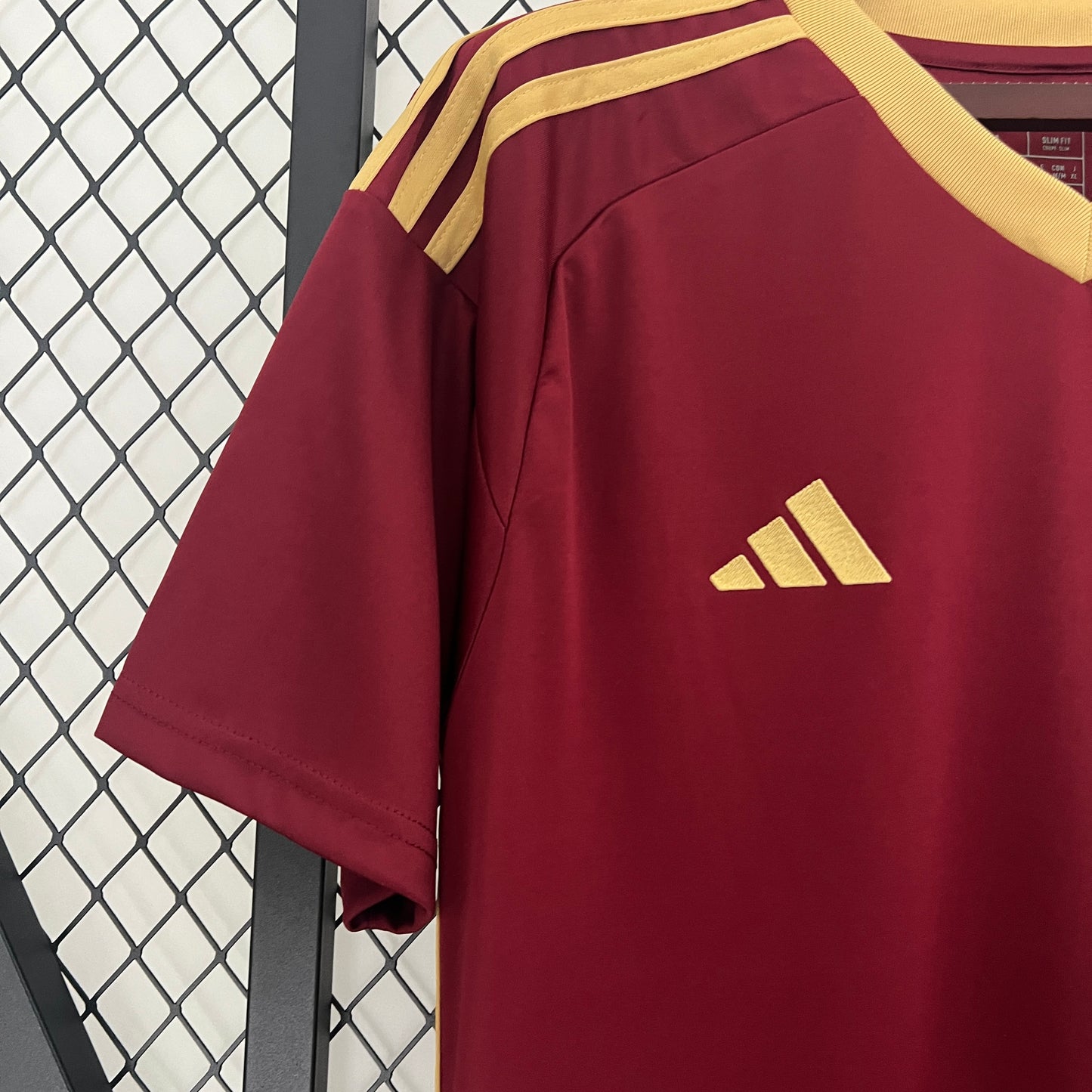 2024 Venezuela Home