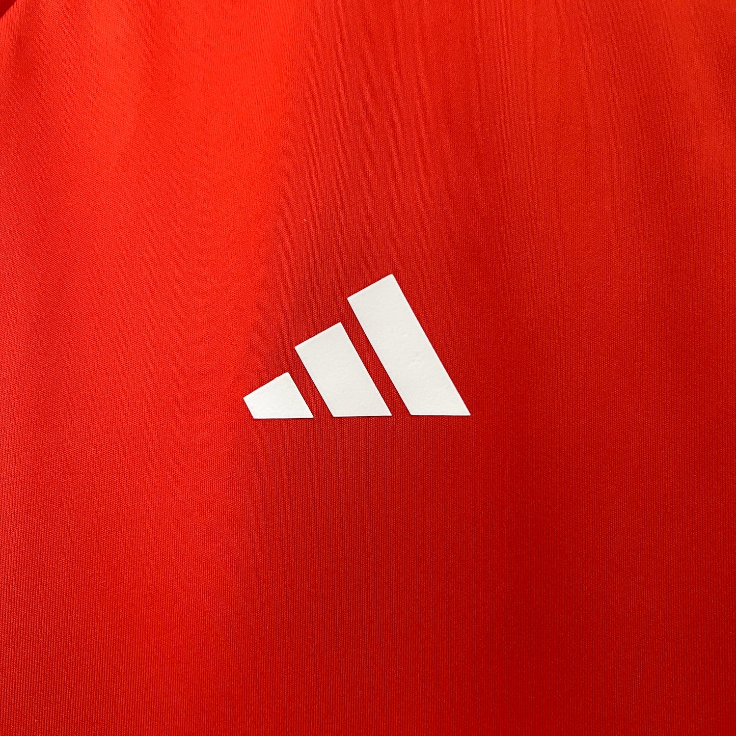 24/25 Cruzeiro Training Wear Red