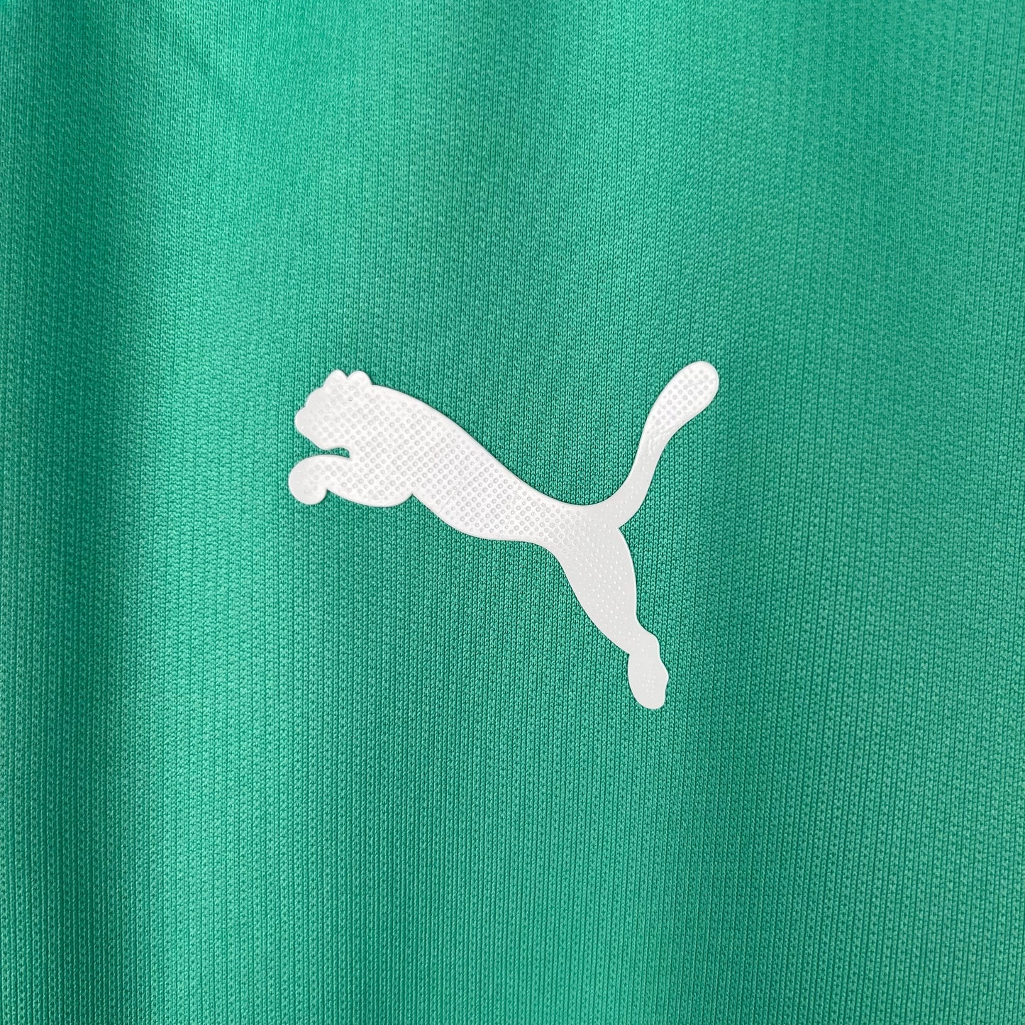 Retro Palmeiras 19/20 Third Away