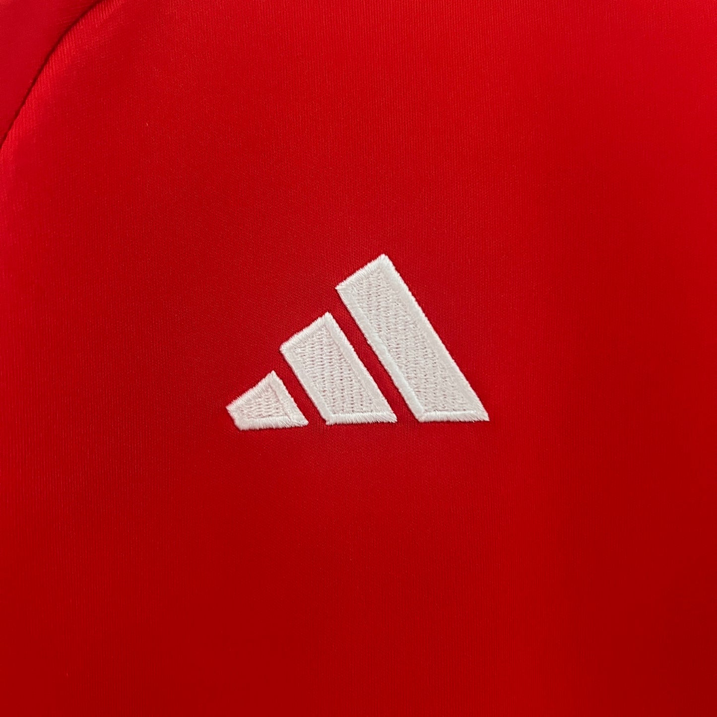 2024 Wales Home