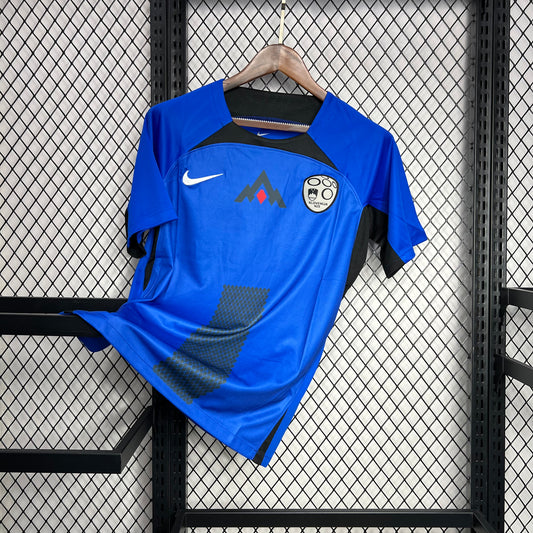 Slovenia 2024/25 Euro Home