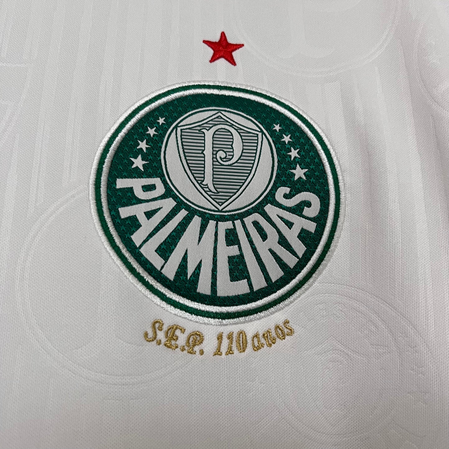 Palmeiras 2024/25 Away Jersey