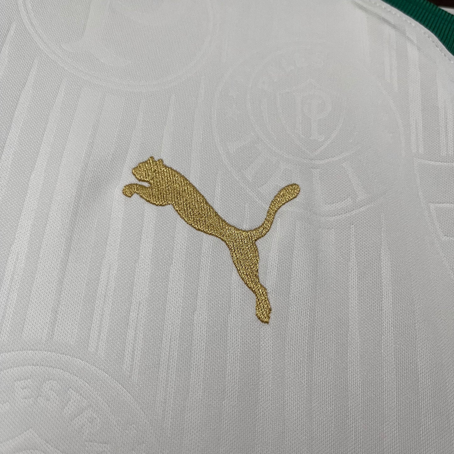 Palmeiras 2024/25 Away Jersey